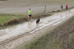 III Carrera Provincial de Canicross